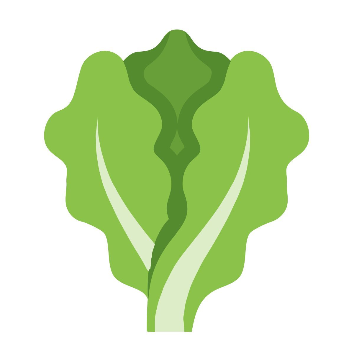 color style lechuga icon