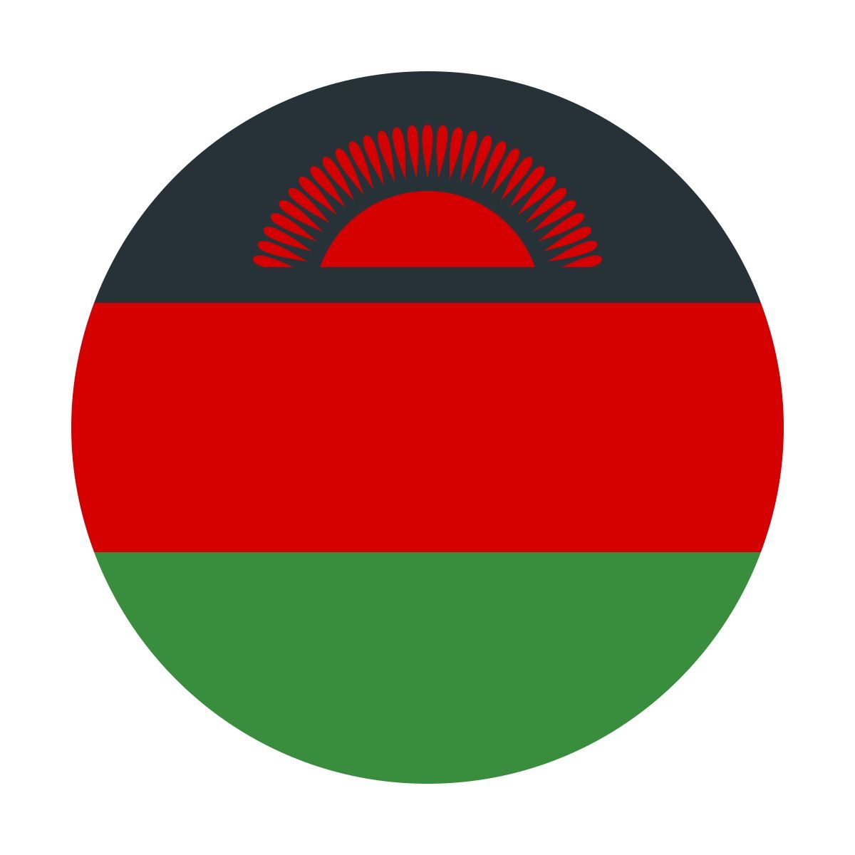 color style 马拉维通函 icon