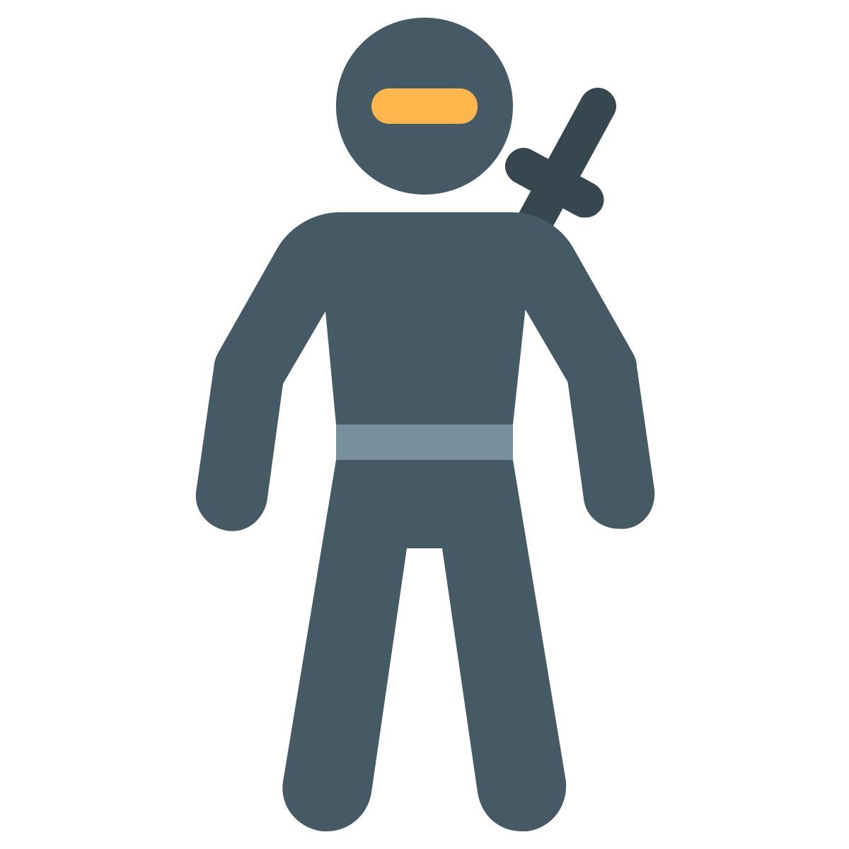 color style ninja icon