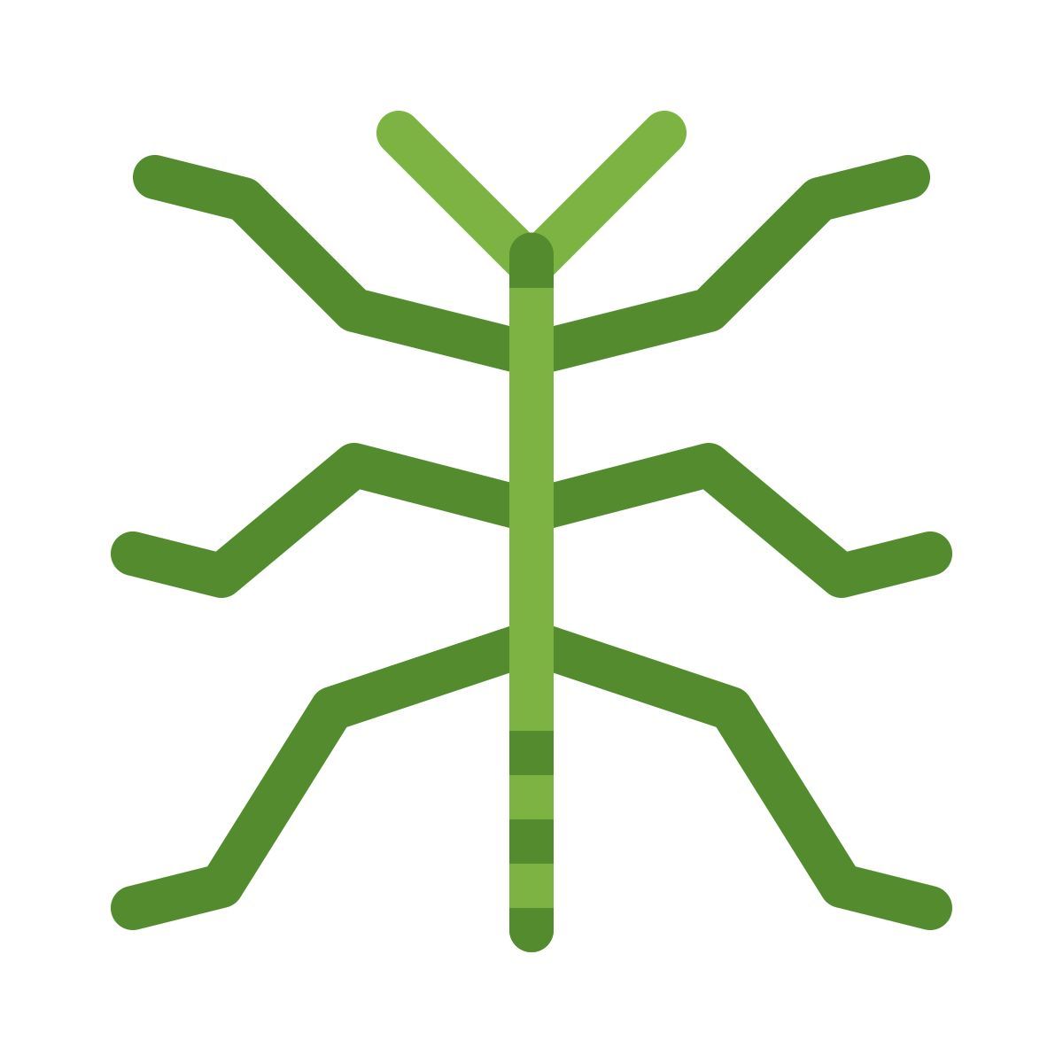 color style phasmatodea icon