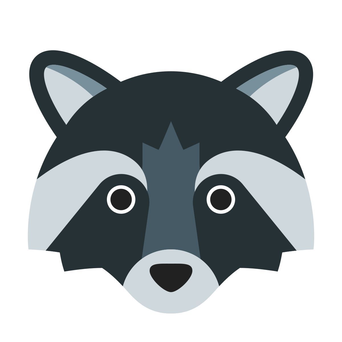 color style mapache icon