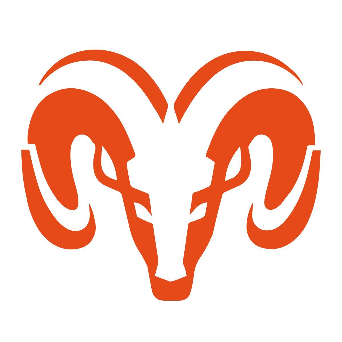 color style ram icon