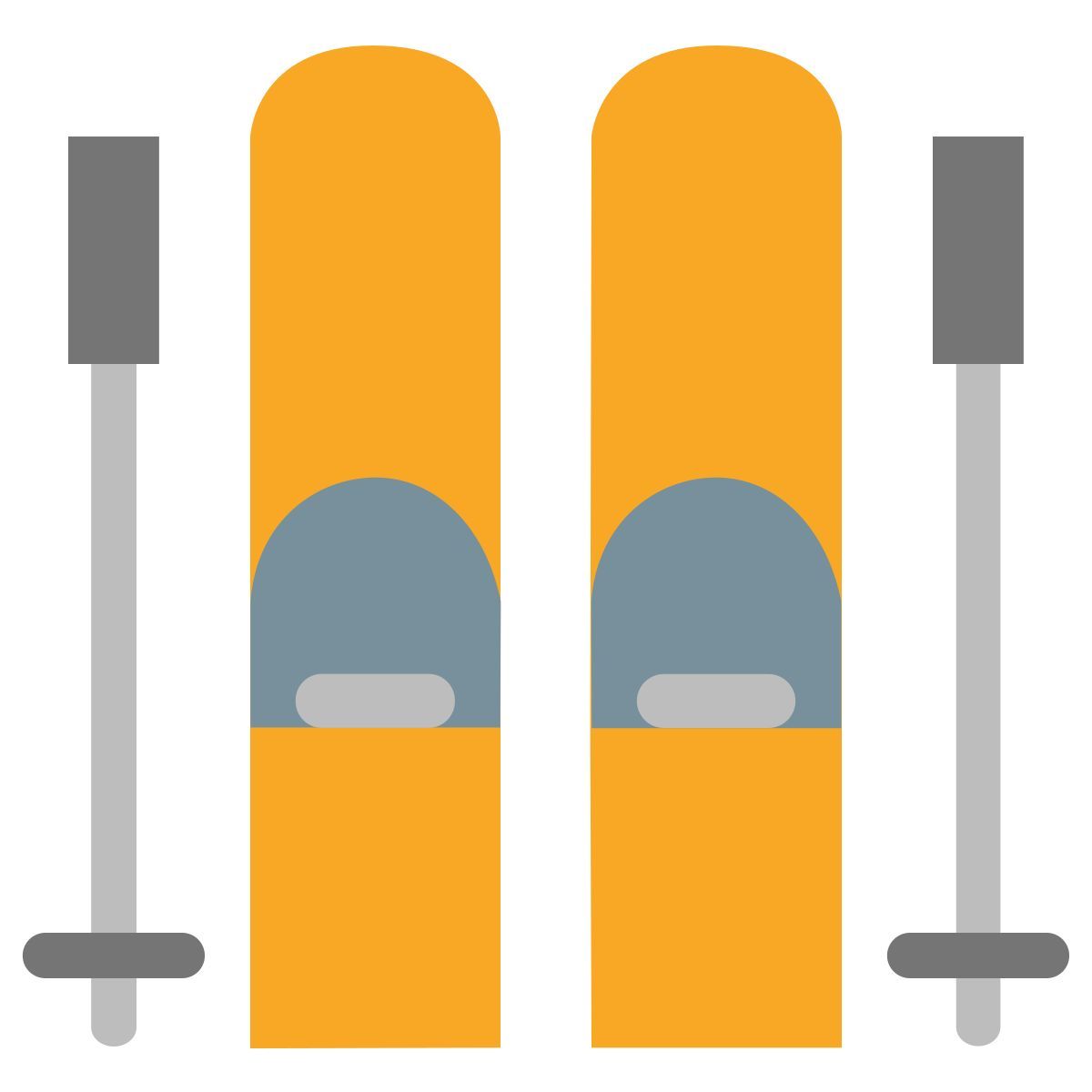 color style esquí icon