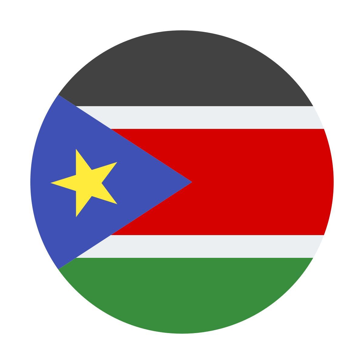 color style circulaire sud soudan icon