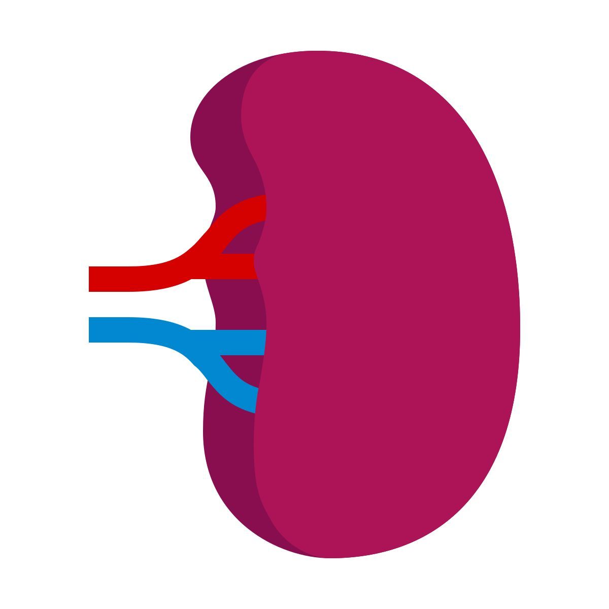 color style bazo icon