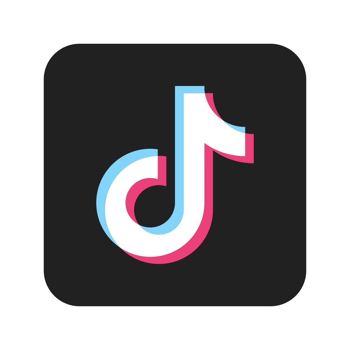 color style tiktok icon