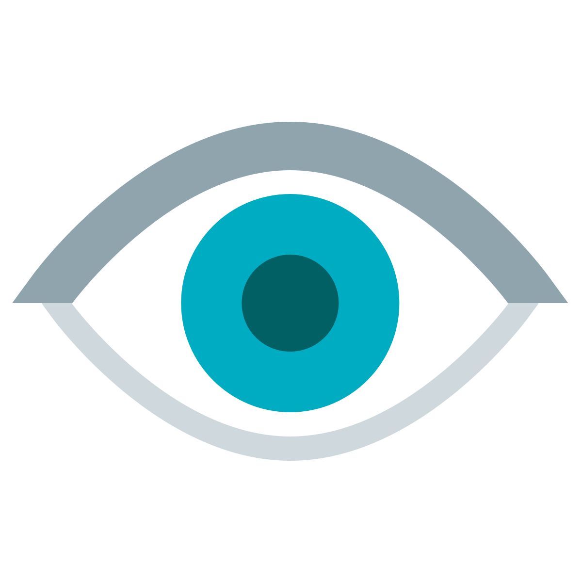 color style visible icon