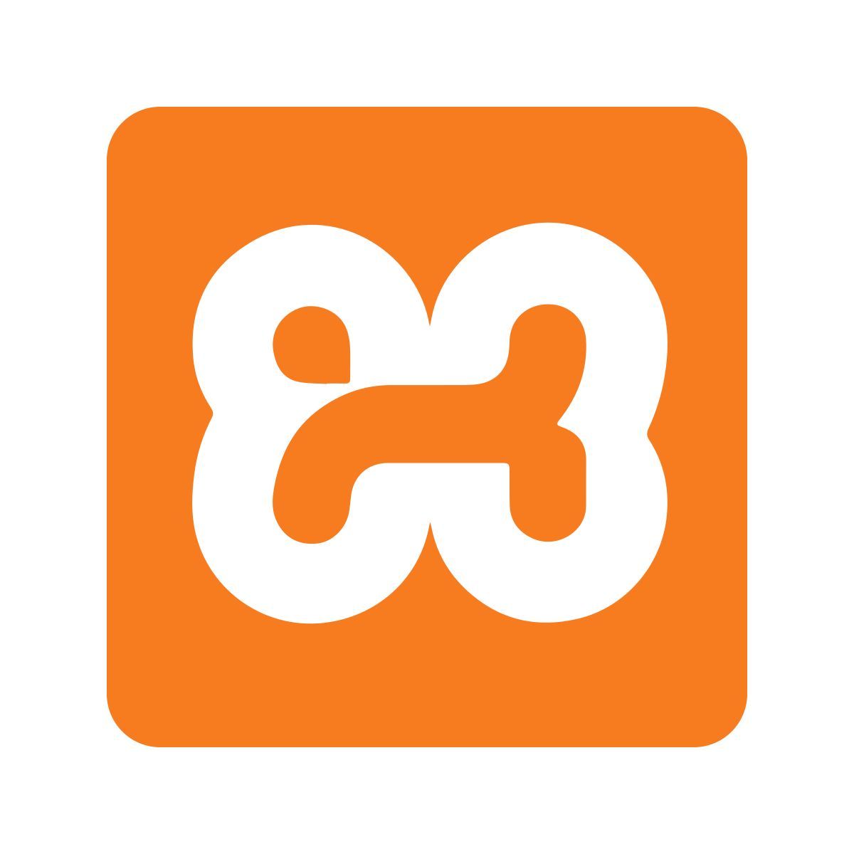 color style xampp icon