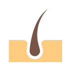 Dermatología Clínica