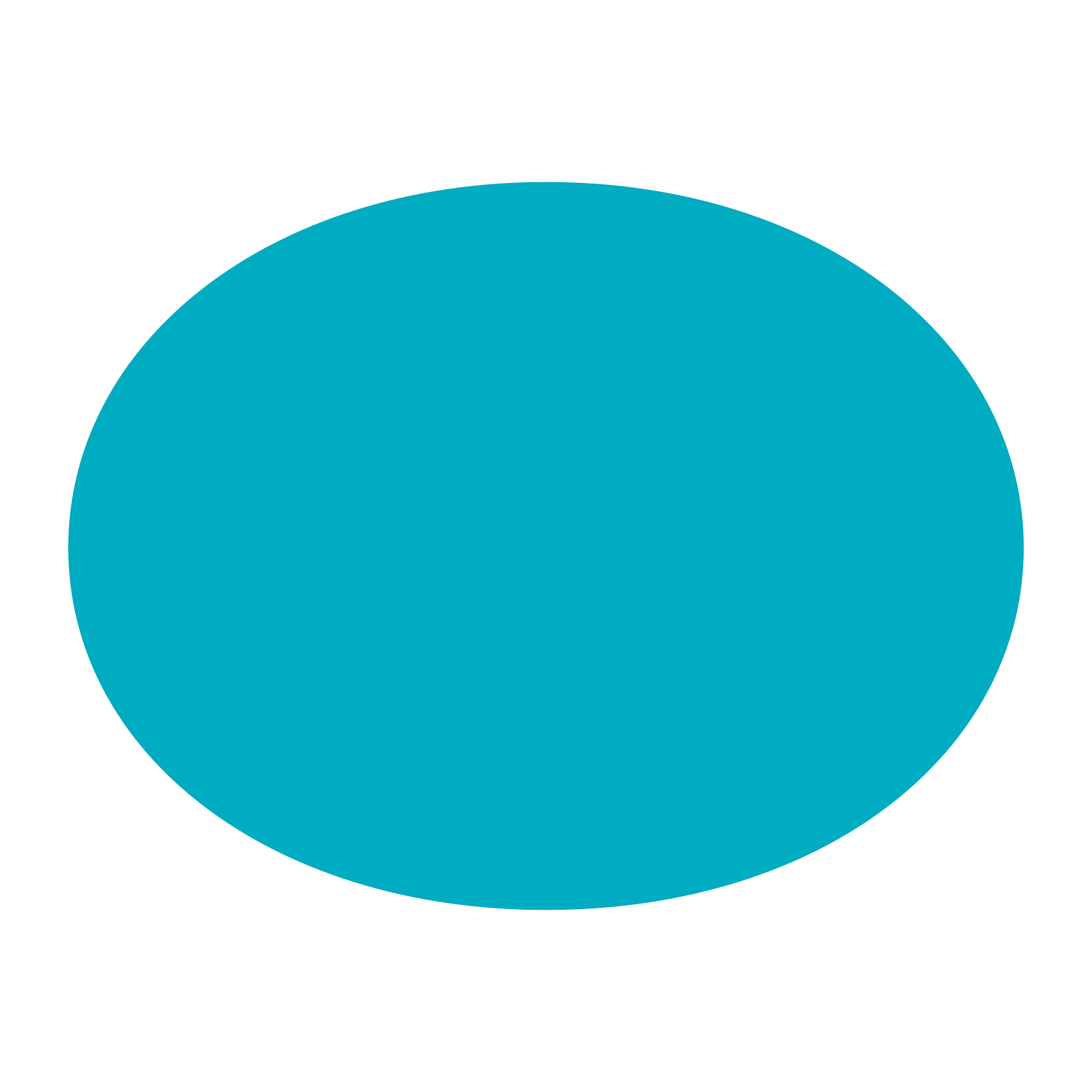 扁平风格的 椭圆 图标