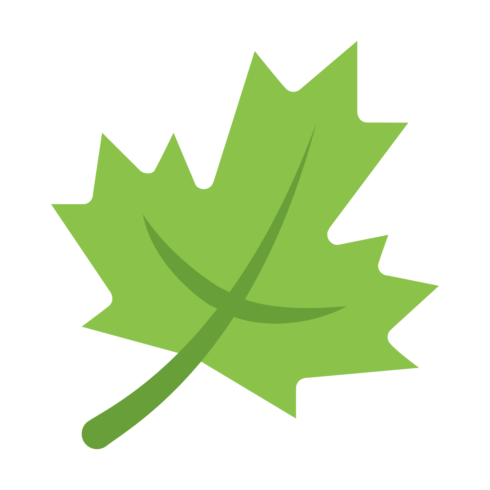 the maple leaf, a sure sign of canadians.