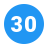 30 Circle icon