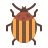 colorado Beetle icon