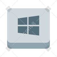 Windows Key Icon
