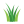 grass