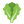 lettuce