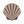 shellfish