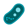 bacteria icon