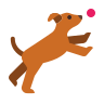 perro gentekiwi