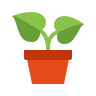 potted plant--v2 icon