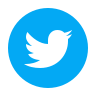 twitter circled--v5 icon