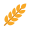 wheat