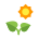 Optimal Soil Health