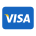 visa logo