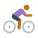 Cycling Skin Type 4 icon