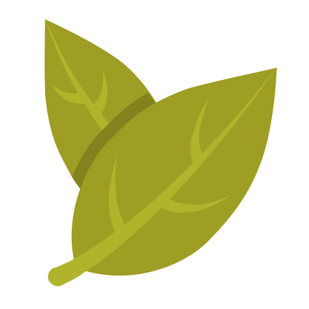 Bay Leaf Icon Free Download Png And Vector