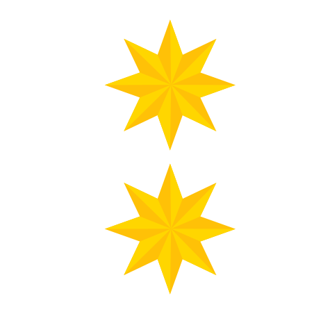 Lieutenant Colonel icon in Color Style