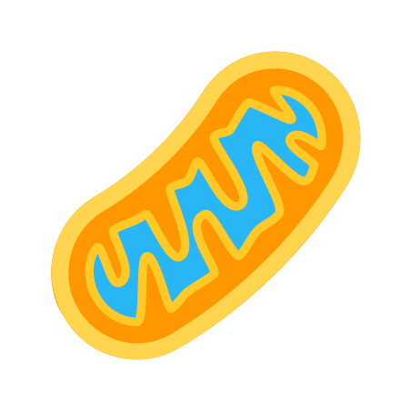 Mitochondria アイコン 無料ダウンロード Png およびベクター Mitochondria アイコン 無料ダウンロード Png およびベクター