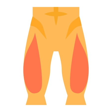 Quadriceps icon in Color Style