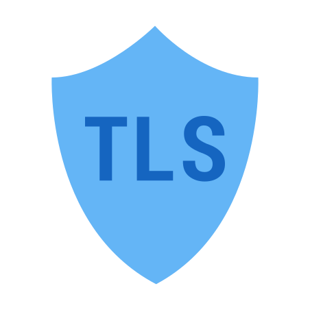 Icona tls in stile color
