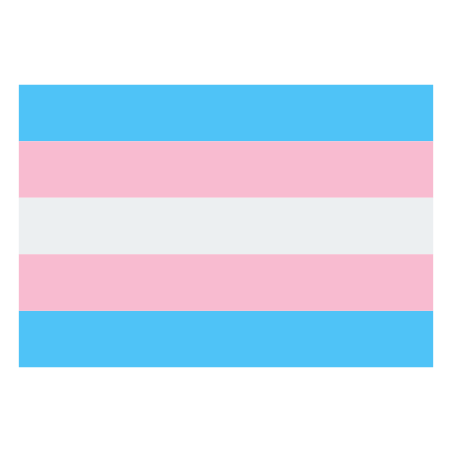 different trans flag