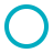 Seedbelt Logo