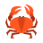 Cancer Symbol