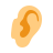 ear