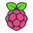 raspberry pi logo flat icon