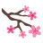 Sakura Icon