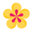 Icono Spa