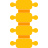 Spine