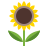 Icono Girasol
