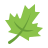 Maple Leaf Icon