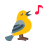 Aves Terrestre