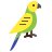 budgie