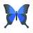 Thyroid