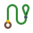 dog-leash