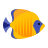 Peixe azul