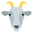 Goat